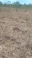 Land Plot for Sale in Sadani - 1