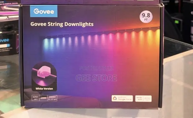 Govee String Downlights 9.8ft White - 1