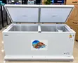 Huamei Freezer Mlango Pacha 607L - 3