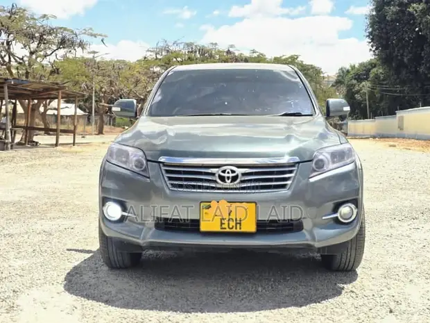 Toyota Vanguard 2010 Gray - 1