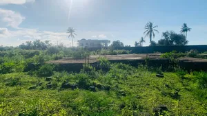 9 Acres Beach Plot for Sale at Kigamboni Geza