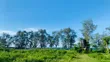 9 Acres Beach Plot for Sale at Kigamboni Geza - 4