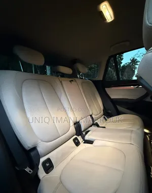 BMW X1 xDrive 20i xLine 2017
