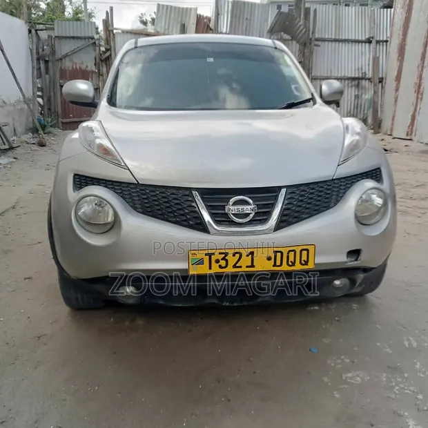 Nissan Juke 2011 Silver - 1