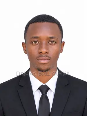 Procurement and Logistics Management Professional CV