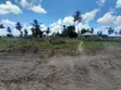 Viwanja Vinauzwa Kigamboni Mwasonga - 2