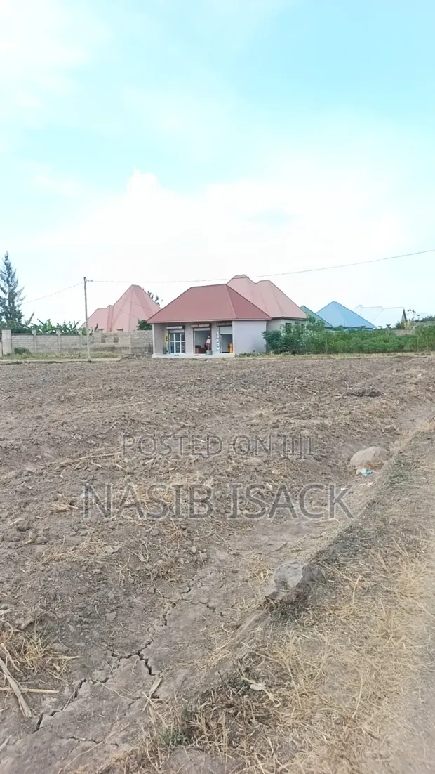 Plot for Sale in Nyamhongoro, Mwanza - 1
