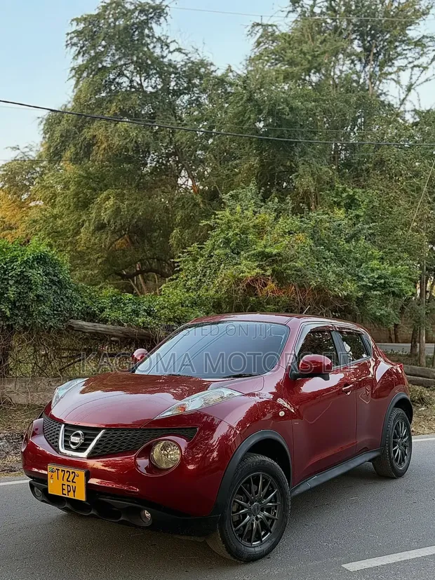 Nissan Juke 2011 Rangi ya Maroon - 1