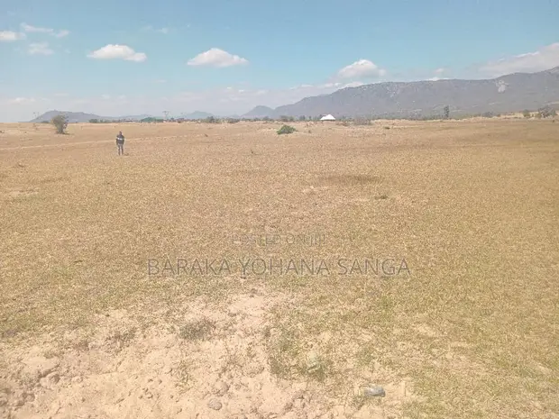 Plot for Sale - Kikombo, Dodoma (832 SQM) - 1