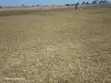 Plot for Sale - Kikombo, Dodoma (832 SQM) - 2