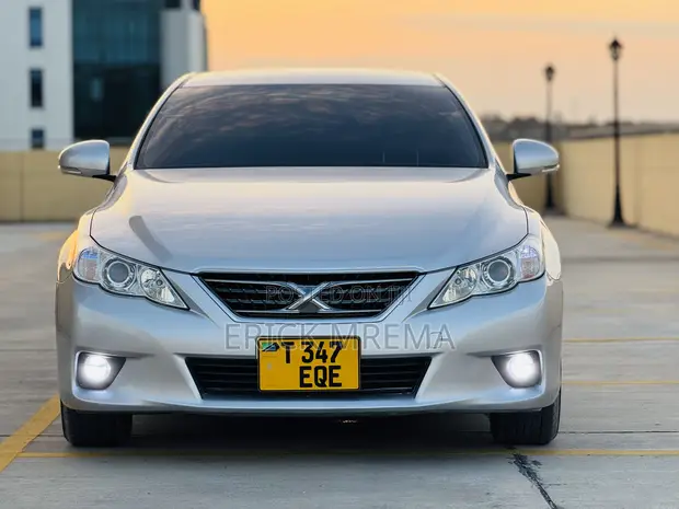 Toyota Mark X 2010 Silver - 1