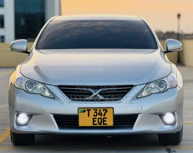 Toyota Mark X 2010 Nyeupe - 1