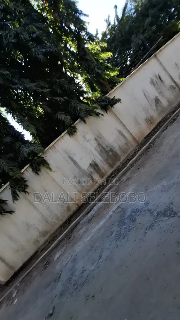 4 Bedroom Bungalow for Sale in Masaki, Chole Road - 1