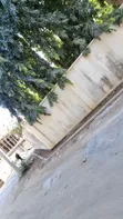 4 Bedroom Bungalow for Sale in Masaki, Chole Road - 2