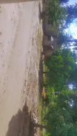 Kiwanja cha Kujenga - Kigamboni - 2