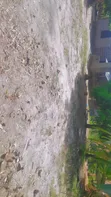 Kiwanja cha Kujenga - Kigamboni - 3