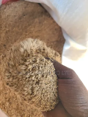 Chakula cha Kunenepesha Ngamia - Chakula Bora