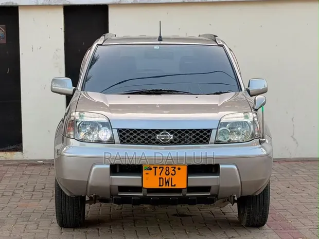 Nissan X-Trail 2004 Silver - 1