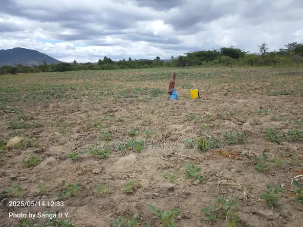 Shamba la Eka 17 Linauzwa - Ifunda, Iringa - 1
