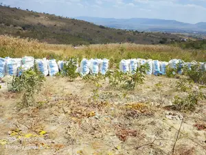 17-Acre Agricultural Land for Sale - Ifunda, Iringa