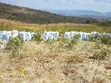 Shamba la Eka 17 Linauzwa - Ifunda, Iringa - 2