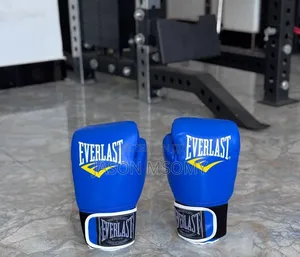 Bodygym Boxing Gloves