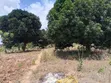 Residential Plot for Sale - Pugu Mwakanga, Dar es Salaam - 1
