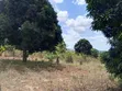 Residential Plot for Sale - Pugu Mwakanga, Dar es Salaam - 2