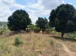 Residential Plot for Sale - Pugu Mwakanga, Dar es Salaam - 3