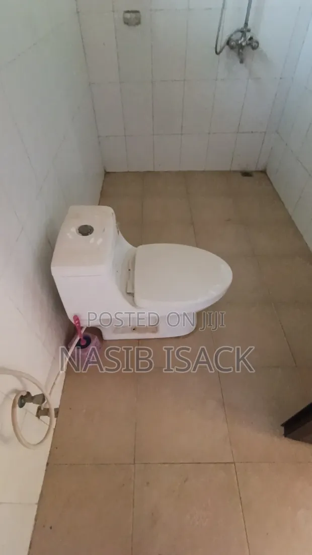 Nyumba ya Vyumba 3 vya Kulala na Samani kwa Uuzaji Buswelu, Mwanza - 1
