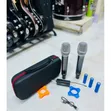 Dual Wireless Microphone Set - 2