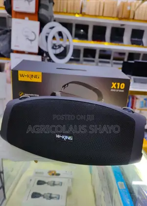 W-King X10 Heavy-Duty Portable Bluetooth Speaker