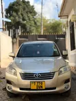 Toyota Vanguard 2009 Beige - 1