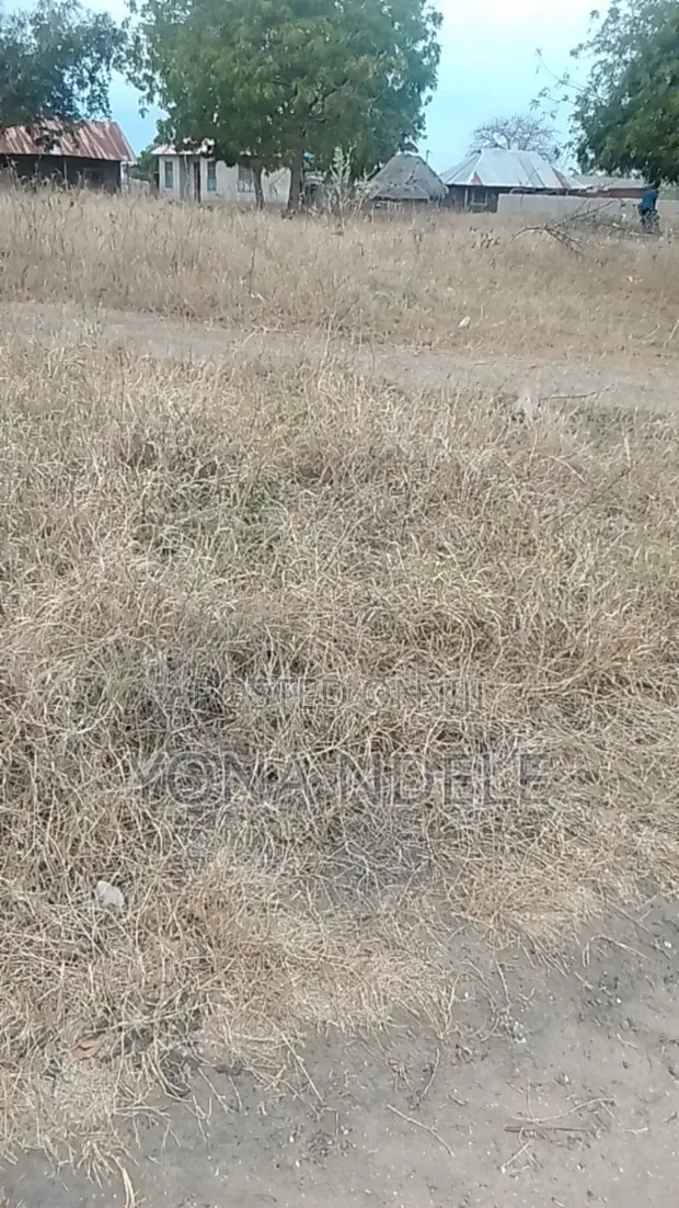 Eneo la Ekari 2 Linauzwa, Mbwewe, Chalinze - 1