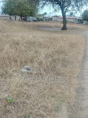 Eneo la Ekari 2 Linauzwa, Mbwewe, Chalinze