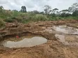 Leseni za Madini ya Dhahabu, Kilindi - 1