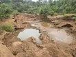 Leseni za Madini ya Dhahabu, Kilindi - 2