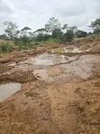 Leseni za Madini ya Dhahabu, Kilindi - 5