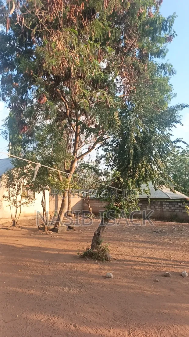 Furnished 8-Bedroom House in Mkolani, Mwanza for Sale - 1