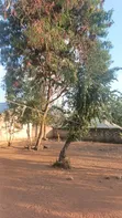 Nyumba ya Vyumba 8 Iliyojengwa Mkolani, Mwanza Inauzwa - 1