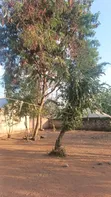 Nyumba ya Vyumba 8 Iliyojengwa Mkolani, Mwanza Inauzwa - 2
