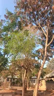 Nyumba ya Vyumba 8 Iliyojengwa Mkolani, Mwanza Inauzwa - 3