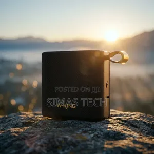W-King D2 Spika Ndogo Portable ya Bluetooth