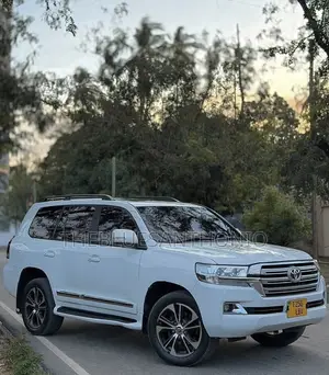 Toyota Land Cruiser 2014 Rangi ya Lulu