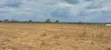 Industrial Plot for Sale, Bagamoyo - 1