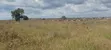 Industrial Plot for Sale, Bagamoyo - 3