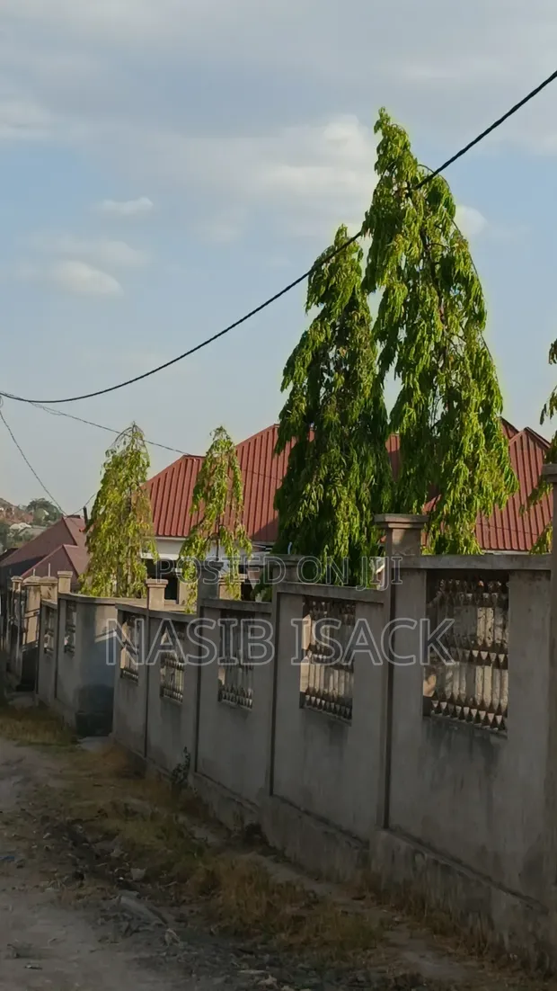 Large Plot for Sale in Mkolani Texas, Mwanza - 1