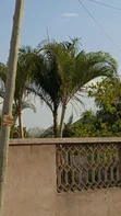 Large Plot for Sale in Mkolani Texas, Mwanza - 3