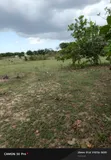 Shamba Linauzwa Fukayose, Karibu na Barabara Kuu - 2