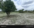 Shamba Linauzwa Fukayose, Karibu na Barabara Kuu - 4